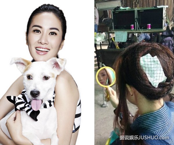 李依晓被狗咬伤关注度很少 叶璇却上热榜