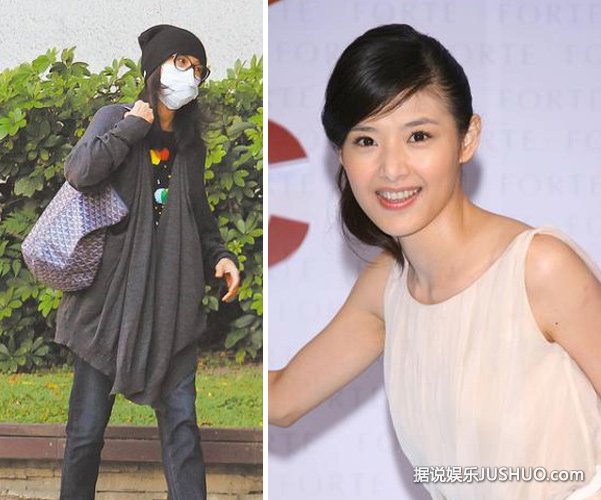 44岁玉女掌门人苏慧伦怀孕 老公是滑板教父