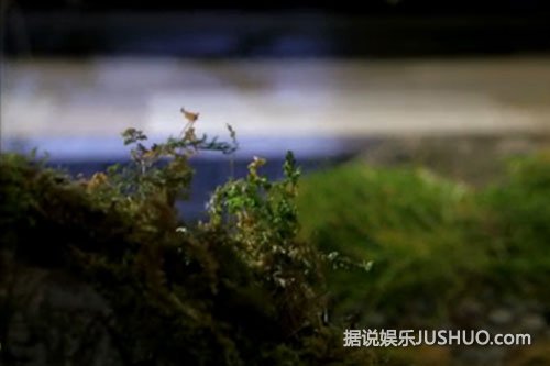 细数《来自星星的你》中未解之谜