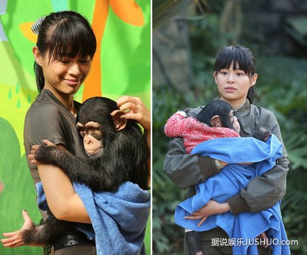 《奇妙的朋友》胡杏儿遭猩猩嫌弃委屈大哭