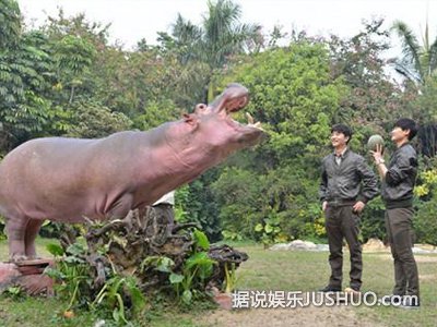 《奇妙》总导演谈拍摄初衷 拍摄动物需运气