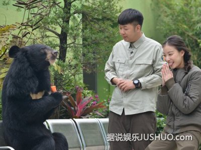 《奇妙》总导演谈拍摄初衷 拍摄动物需运气