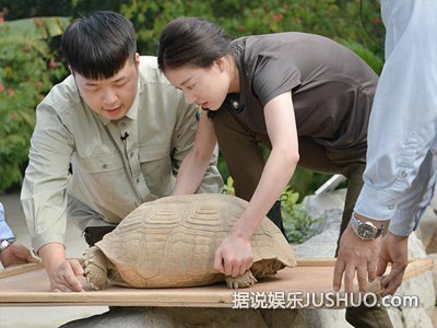 《奇妙》总导演谈拍摄初衷 拍摄动物需运气