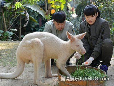 《朋友》红娘李宇春巧解河马失恋之苦