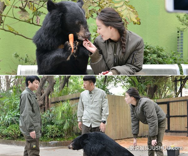 《奇妙的朋友》倪妮玩活蜘蛛展女汉子本色