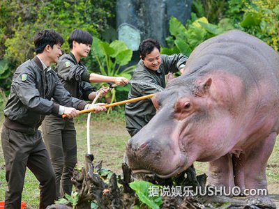 《奇妙》多国际组织联名抗议让其停播