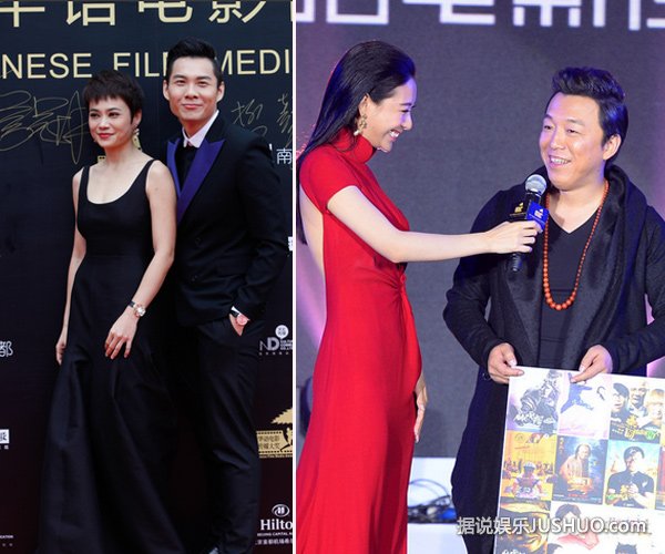 柴静央视离职 与老公深夜约会