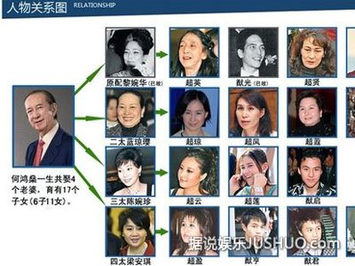 盘点明星一夫多妻怪象 视帝雷洪娶五房妻子