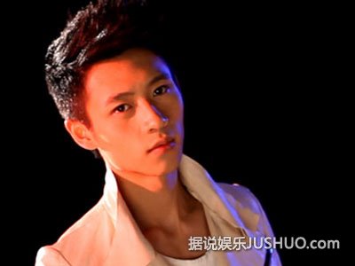 吴尊刘德华杨千嬅 盘点被曝光的明星隐婚族