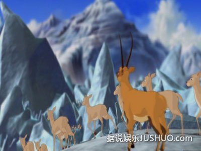 《藏羚王》之父刘宇军 与藏羚羊的终身约定