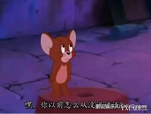 猫和老鼠电影大全图片