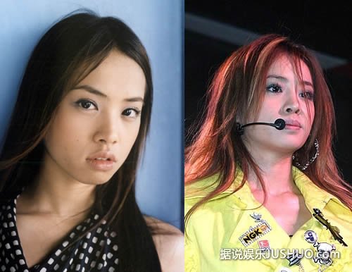 蔡依林整容前后照片 脸部对比变化明显