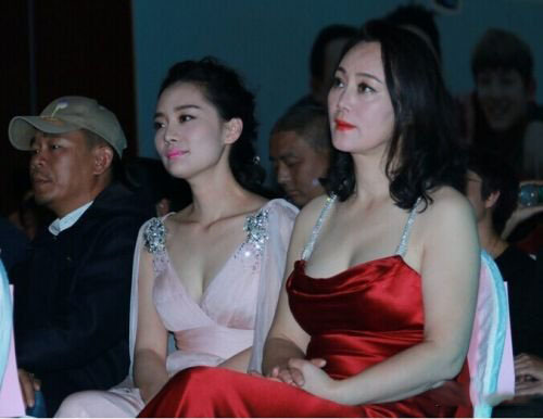 大宋佳老公盘点 揭秘宋佳的三段婚姻