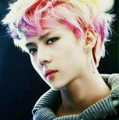 吴世勋彩虹头造型 介绍吴世勋的基本资料