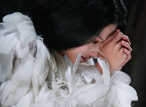 网曝张柏芝无极删减部分 无极在香港被评少儿不宜影片