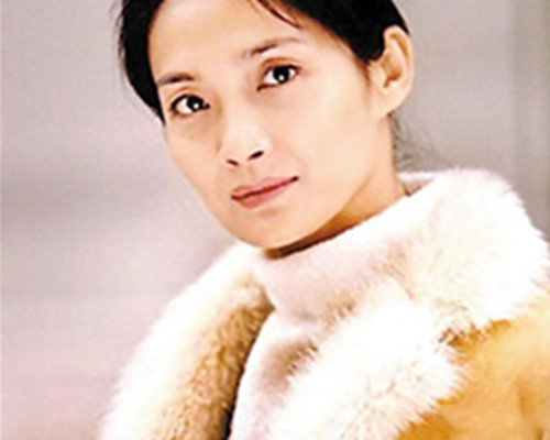 李婷个人资料 过早消失的光芒 李婷个人资料 过早消失的光芒