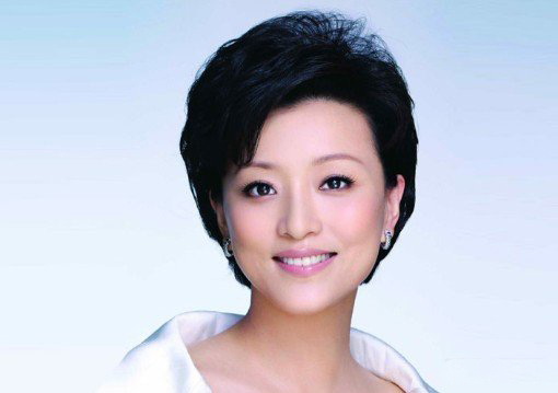 杨澜和吴征的恋爱 令人称赞的恩爱夫妻