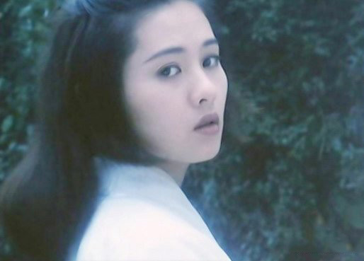 李丽珍演过的电视剧 李丽珍资料大放送