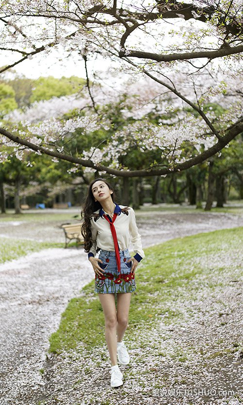 Angelababy樱花写真少女感爆棚 怎一个仙字了得 Angelababy樱花写真少女感爆棚 怎一个仙字了得