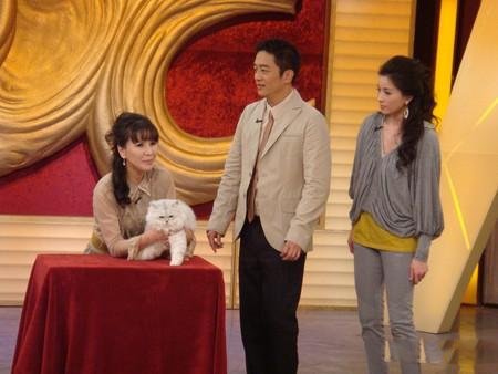 陈昭荣和叶全真默契好不用对戏直接开拍 镜头外却零互动 陈昭荣和叶全真默契好不用对戏直接开拍 镜头外却零互动