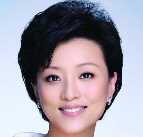 杨澜丈夫吴征的个人资料曝光 其丈夫被吐槽长得丑