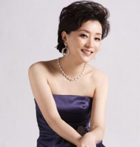 杨澜丈夫吴征的个人资料曝光 其丈夫被吐槽长得丑