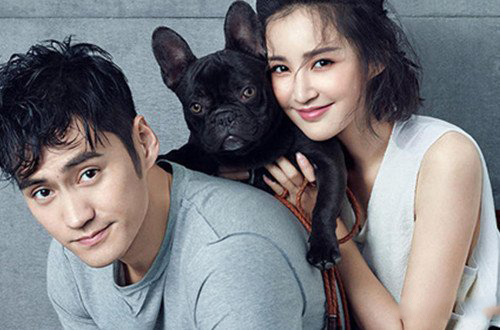 杨树鹏张歆艺为什么离婚呢 两人相继发博回应此事