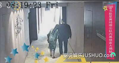 据说黄绮珊被老公张鹰起诉离婚 理由是女方婚内出轨