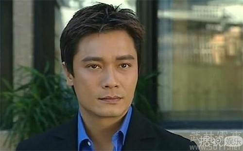 罗嘉良在上世纪90年代可说是红透半边天;3.