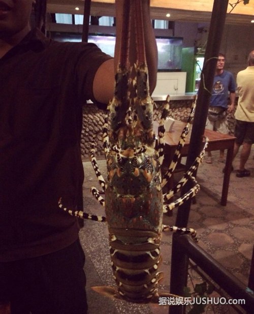 周冬雨素颜穿吊带衫 变女汉子手抓龙虾卖萌