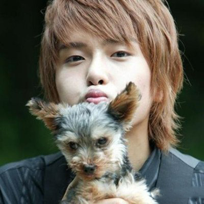 金厉旭图片欣赏 揭秘厉旭减肥辛酸史