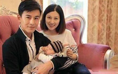 爆料王丽坤老公及二个儿子的私生活 揭秘王丽坤的绯闻