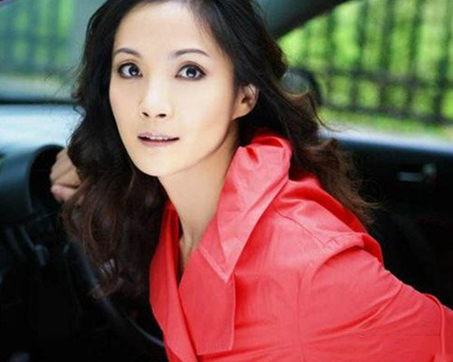 李婷个人资料过早消失的光芒